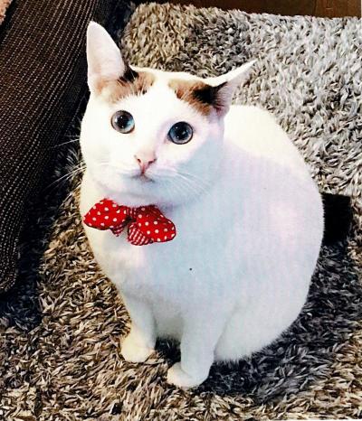 雪だるま！？