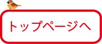 トップページ