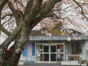 R7.4.10 桜