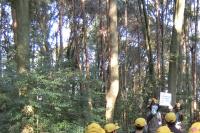 烏帽子形城跡里山保全活動2