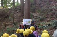 烏帽子形城跡里山保全活動3