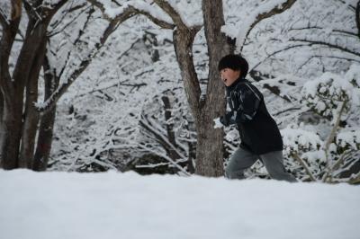 雪国じゃないよ