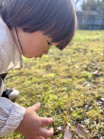 春みぃ〜つけた