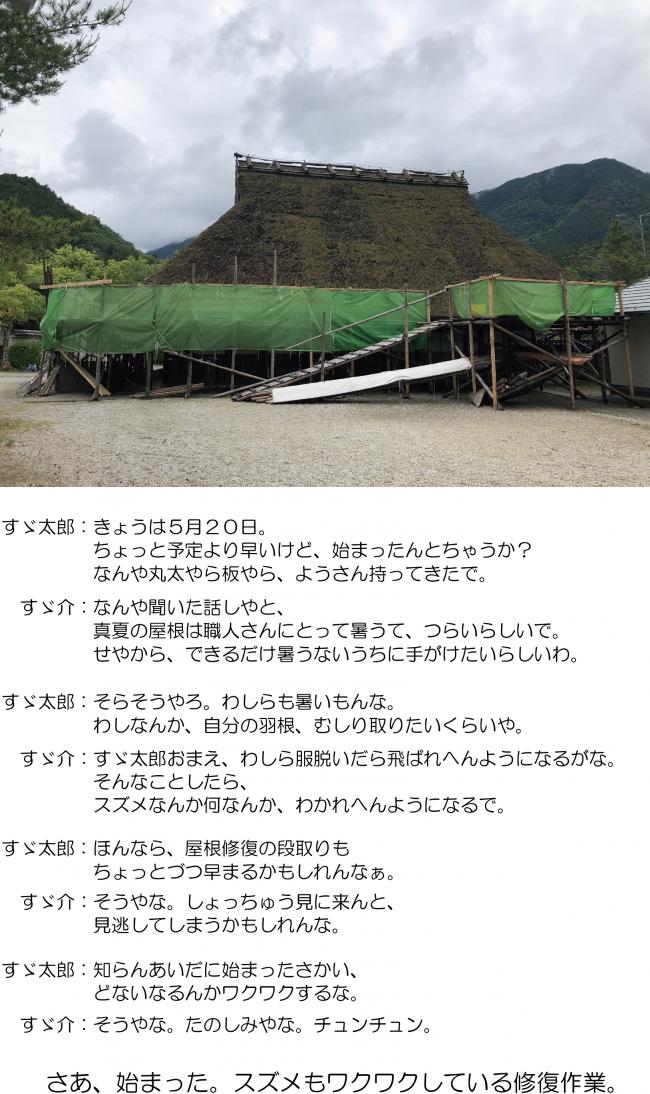 少し早いけど、はじまりました！