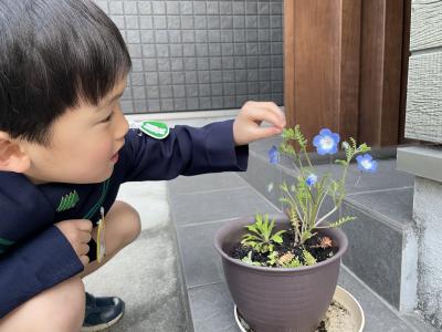 春がきた！