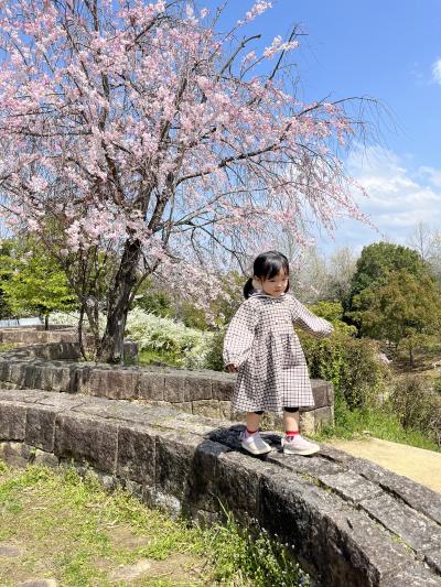 寺ヶ池公園でピクニック