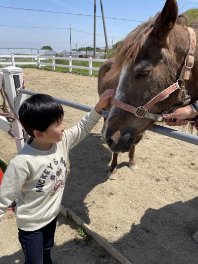 はじめての乗馬