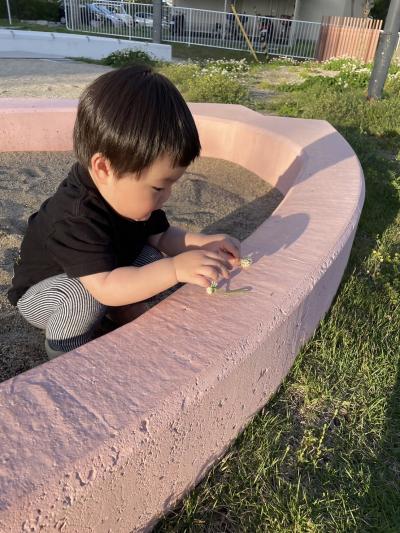 春の遊び