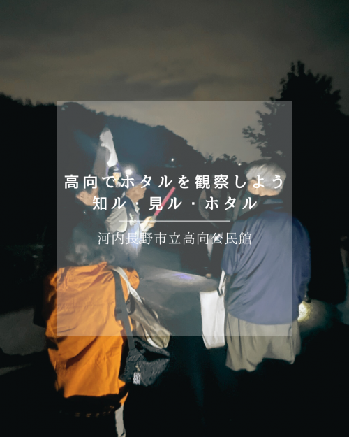 ホタル