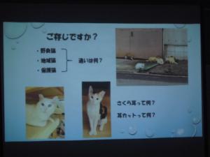 講座の様子3