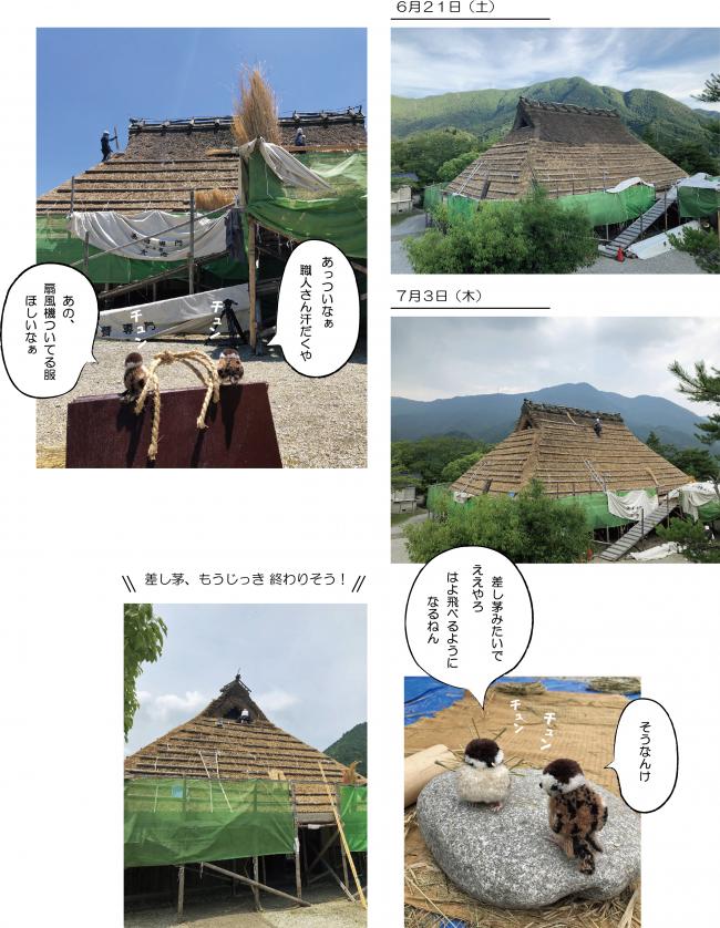 差し茅、ももうじっき終わりそう