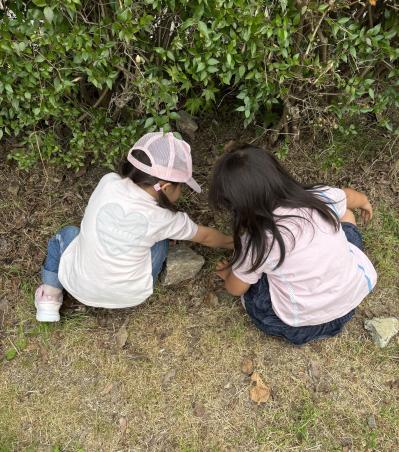 ダンゴムシいるかな