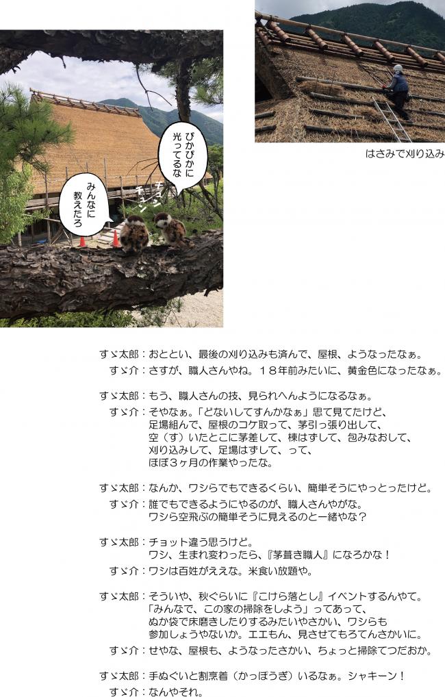 屋根、ようなったで。（8月10日）