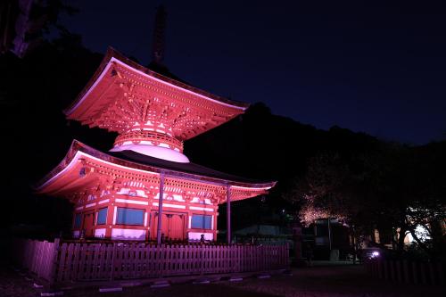 金剛寺多宝塔ライトアップ