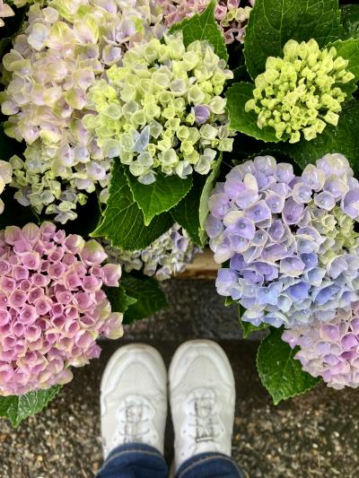 どれもみんなきれいだね