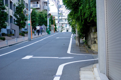 道路にはみ出た樹木イメージ画像