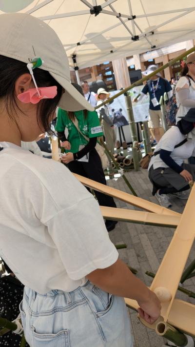 竹のレールでコロコロ楽しいな