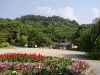 府営長野公園 広域公園 河内長野市ホームページ