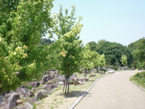 寺ケ池公園の風景(1)
