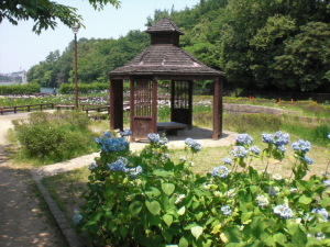 寺ケ池公園の風景(2)