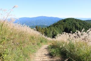 岩湧