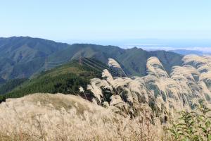 岩湧山