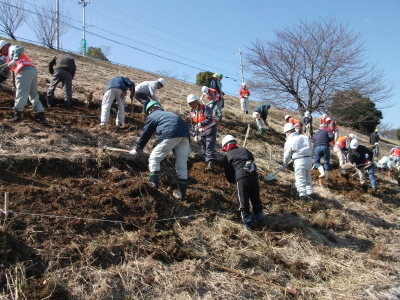 平成25年度植栽作業（地ならし）