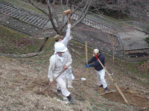 植栽の実施（八重桜・ユキヤナギ）の画像3