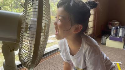 夏ならでは