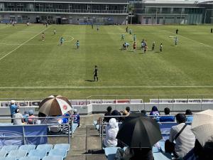 試合観戦の様子2