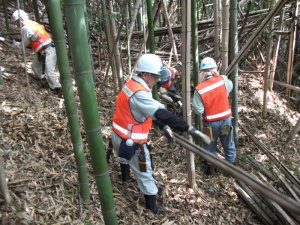 整備作業の様子（8月23日）の画像1