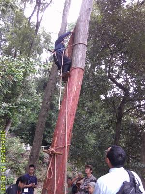 職人の技