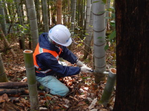 作業状況0221の画像