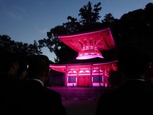 天野山金剛寺多宝塔ライトアップ