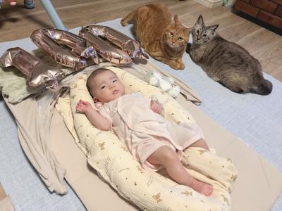 お食い初めおめでとう