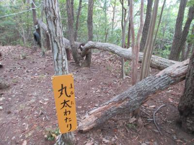 2025おでわくちよたん9