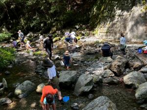 川に入り水生生物調査を行う親子