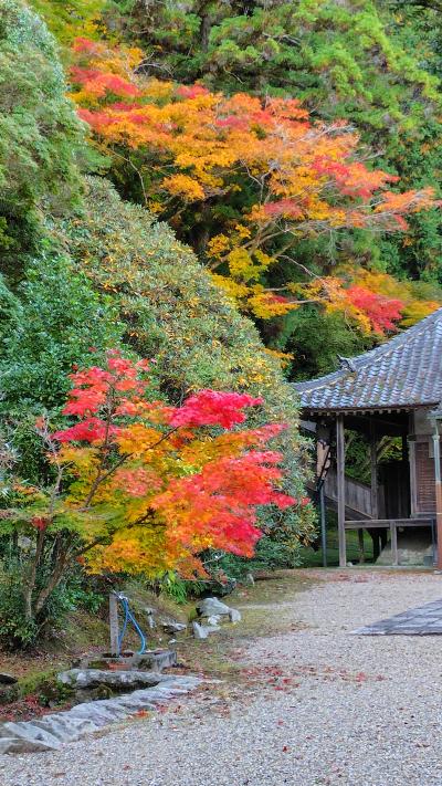 地蔵の紅葉