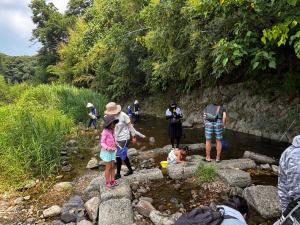 水生生物調査をする参加者がいる川辺