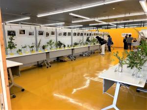 河内長野市食草薬草の会の展示の様子