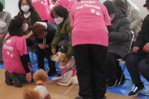 「心を癒すドッグセラピーの世界」講座の様子