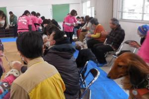 「心を癒すドッグセラピーの世界」講座の様子
