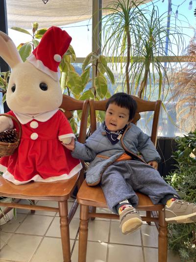 花の文化園のクリスマス