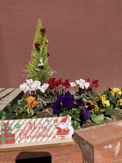 玄関先にクリスマスツリー