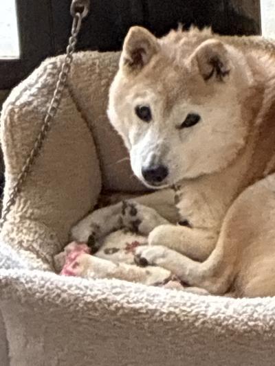 15才になりました！