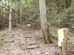 すぎこだちの道　入り口　通行止め看板