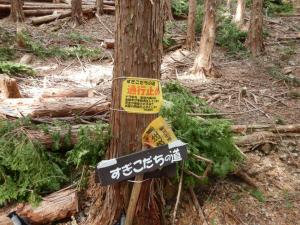 すぎこだちの道　通行止め看板