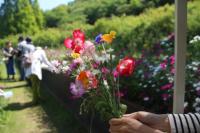 花摘み園