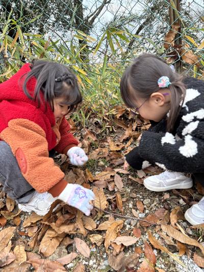 どんぐりごろごろ