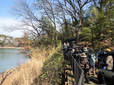 双眼鏡やカメラを持ち野鳥を探す参加者の様子